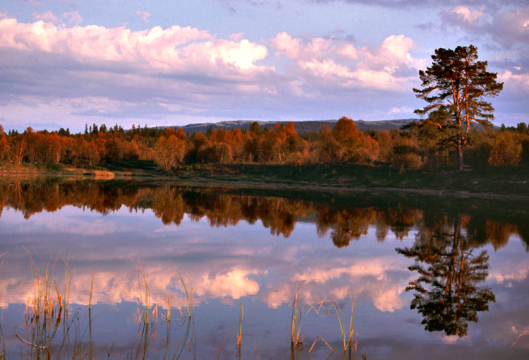 photo "Autumn" tags: landscape, water