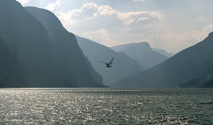 photo "The freedom to fly, where you want..." tags: landscape, travel, Europe, mountains