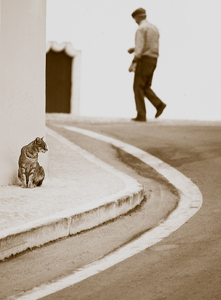 photo "Corner Scene" tags: genre, nature, pets/farm animals