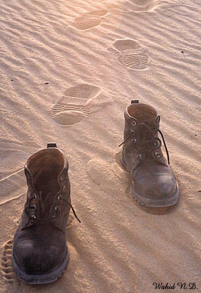 photo "Lost in the Desert" tags: humor, 