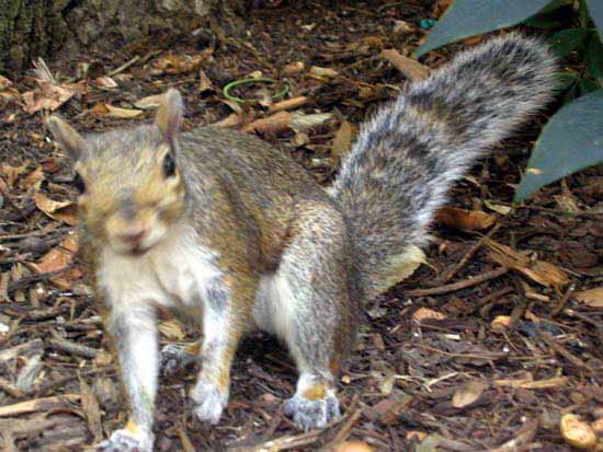 photo "What about some food???" tags: nature, reporting, wild animals