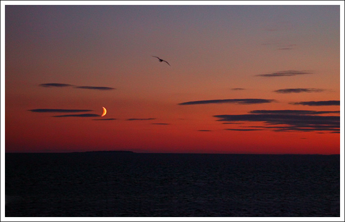 photo "Leaving from the Valamo island" tags: abstract, landscape, sunset