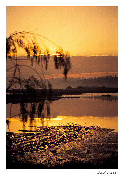 фото "at sunrise" метки: пейзаж, вода, закат