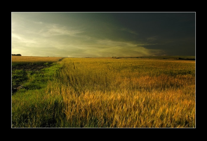 photo "Bohemian Landscape" tags: landscape, summer