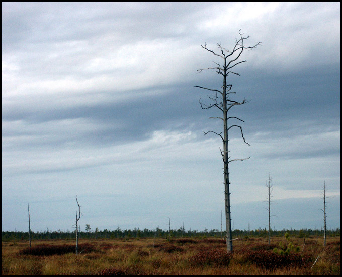 photo "Siberian steppe" tags: nature, landscape, autumn