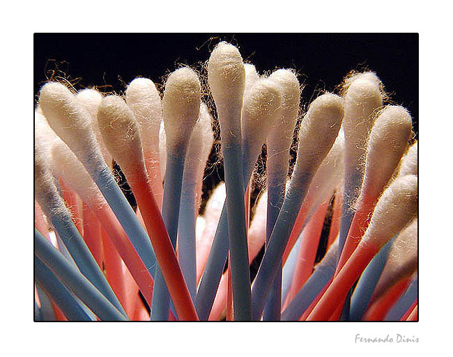 photo "Bouquette" tags: still life, macro and close-up, 