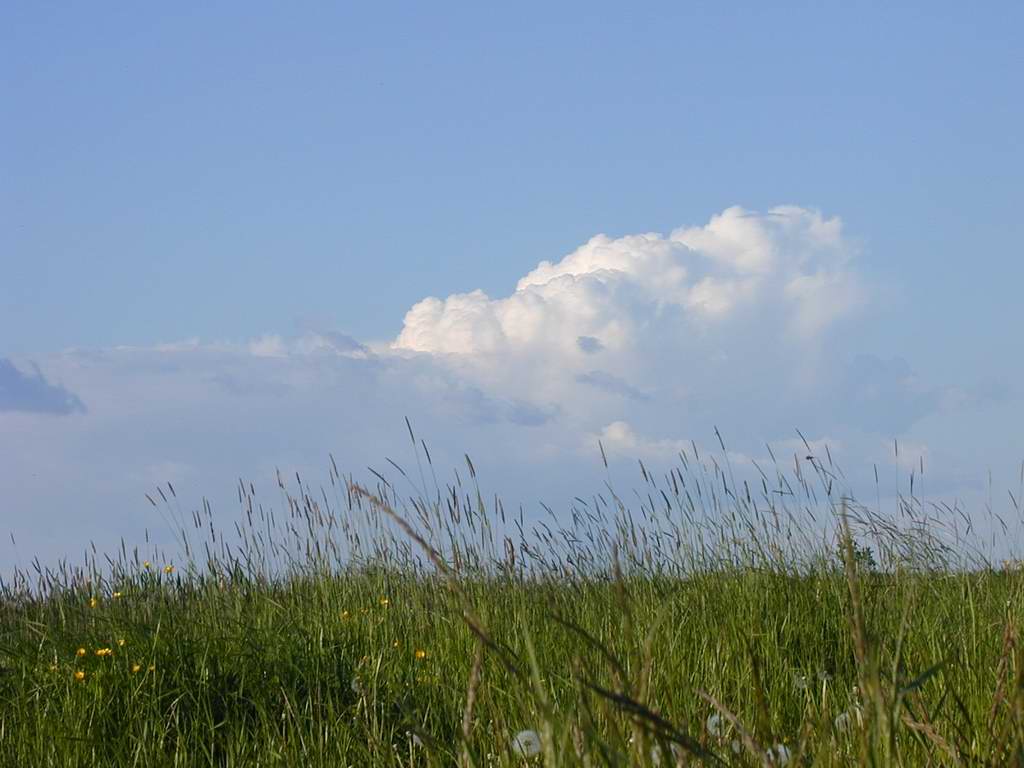 фото "Небо II" метки: пейзаж, лето, облака