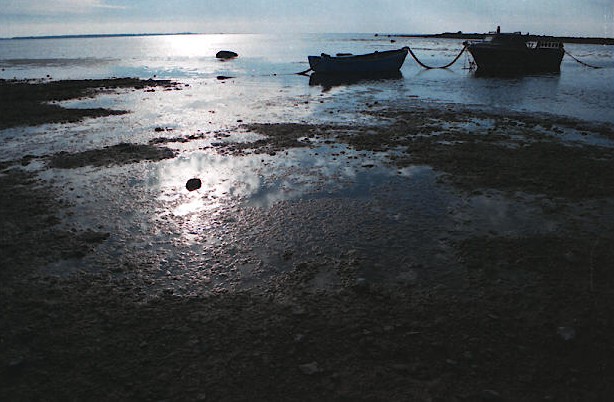 photo "Sea of Saremaa" tags: landscape, water