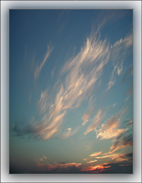 photo "Feathers" tags: landscape, clouds