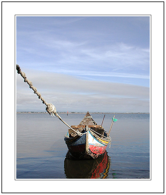 photo "My Last Boat, I swear…" tags: landscape, summer, water