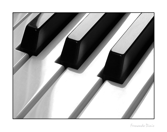 photo "The piano" tags: still life, macro and close-up, 