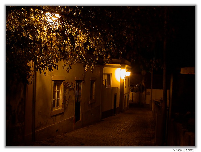photo "Sleeping alley" tags: landscape, night