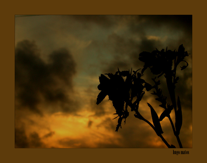 photo "Watching the sky..." tags: landscape, clouds, sunset