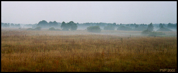 фото "Туманное утро" метки: пейзаж, лето