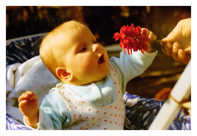 photo "The Flower" tags: portrait, children