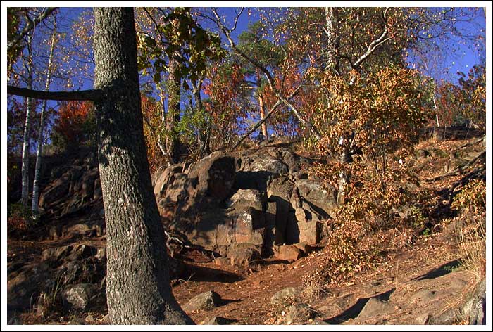 photo "Valamo island. Autumn chants." tags: landscape, autumn, forest