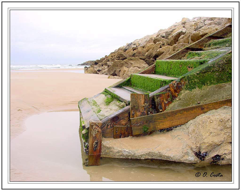 photo "Slippery Stairway" tags: landscape, autumn, water