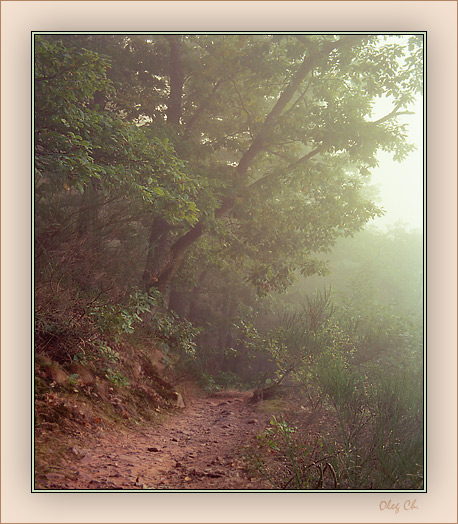 photo "Footpath in a fog" tags: landscape, autumn, forest