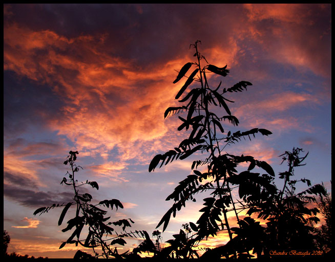 photo "Autumn`s Opus" tags: landscape, clouds, sunset