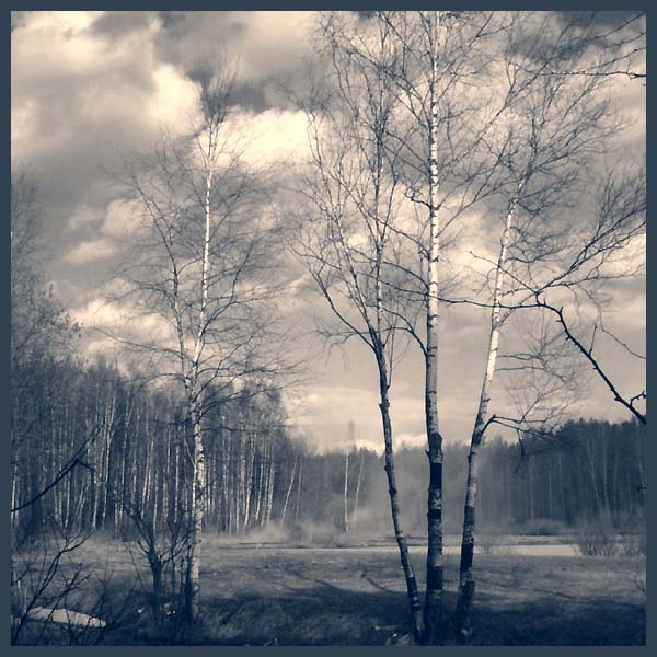 фото "Typical Russian Landscape" метки: пейзаж, весна, лес