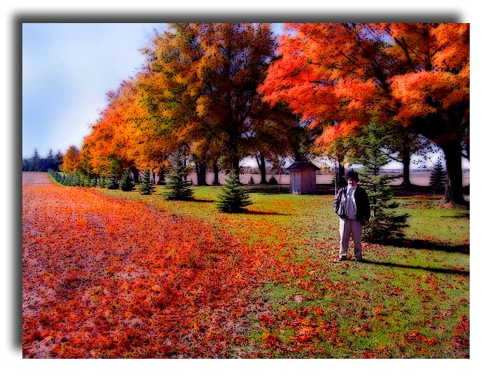 photo "Past autumn" tags: misc., 