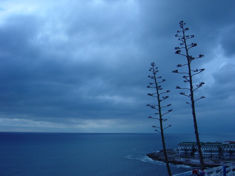 photo "Magic blue" tags: nature, 