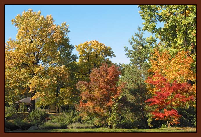 photo "Silence" tags: landscape, nature, autumn, flowers