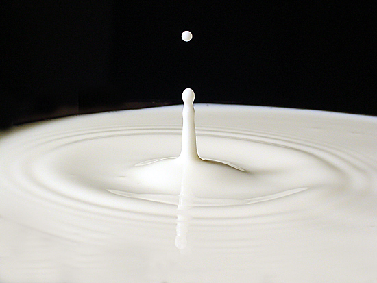 photo "Milk Drop" tags: macro and close-up, 