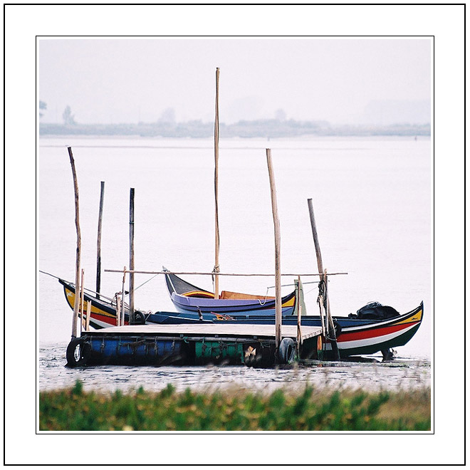 photo "The Boats rides at anchor in the Roadstead" tags: landscape, water