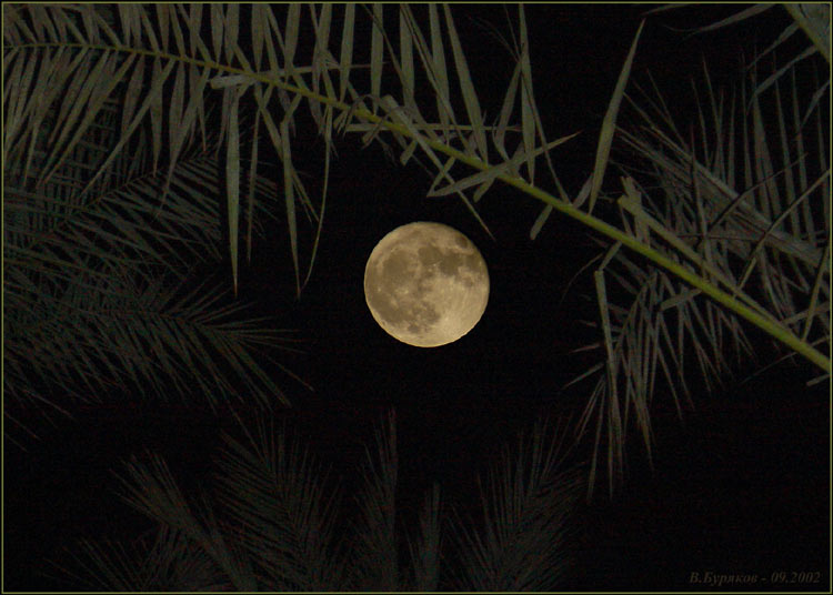 фото "Full moon" метки: пейзаж, путешествия, Африка, ночь