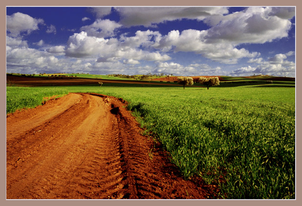 photo "Spring daybreak - Alentejo, Portugal" tags: landscape, spring
