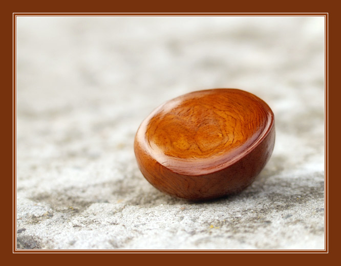 photo "The theorem of flat chestnuts" tags: macro and close-up, nature, flowers