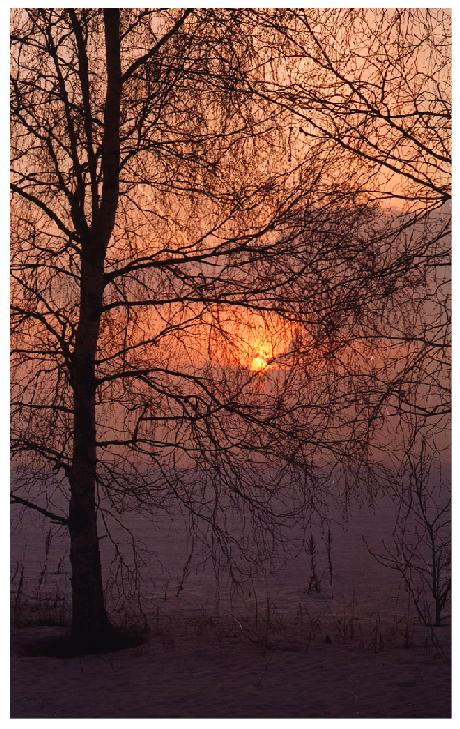 фото "Солнце в тумане" метки: пейзаж, закат, зима