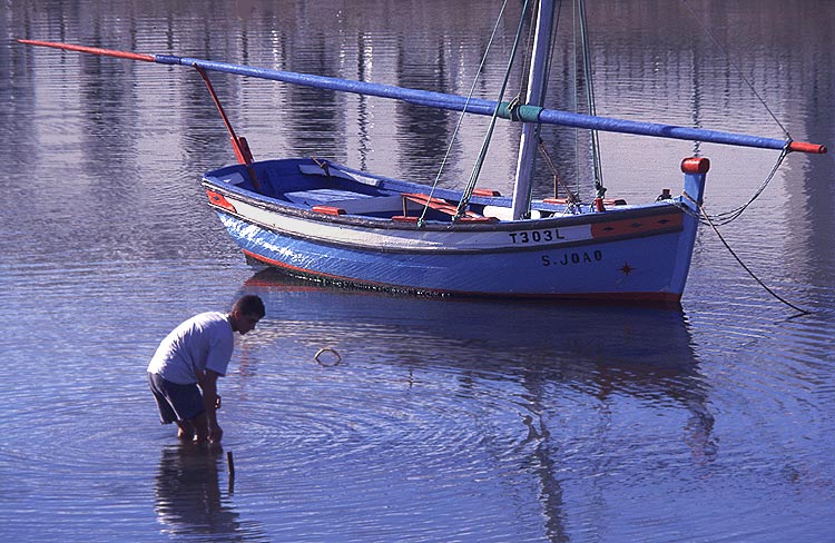 фото "Looking for shells" метки: пейзаж, жанр, вода