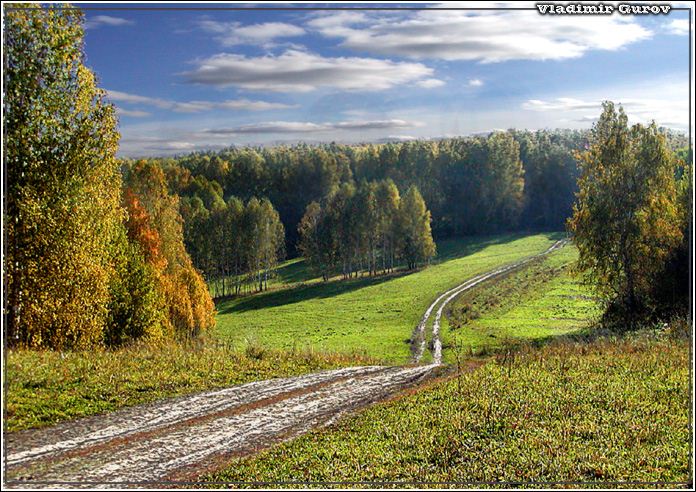 photo "Field road" tags: landscape, autumn