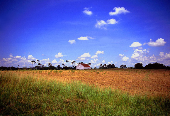 фото "Tobacco Plantation in Cuba" метки: путешествия, пейзаж, Южная Америка