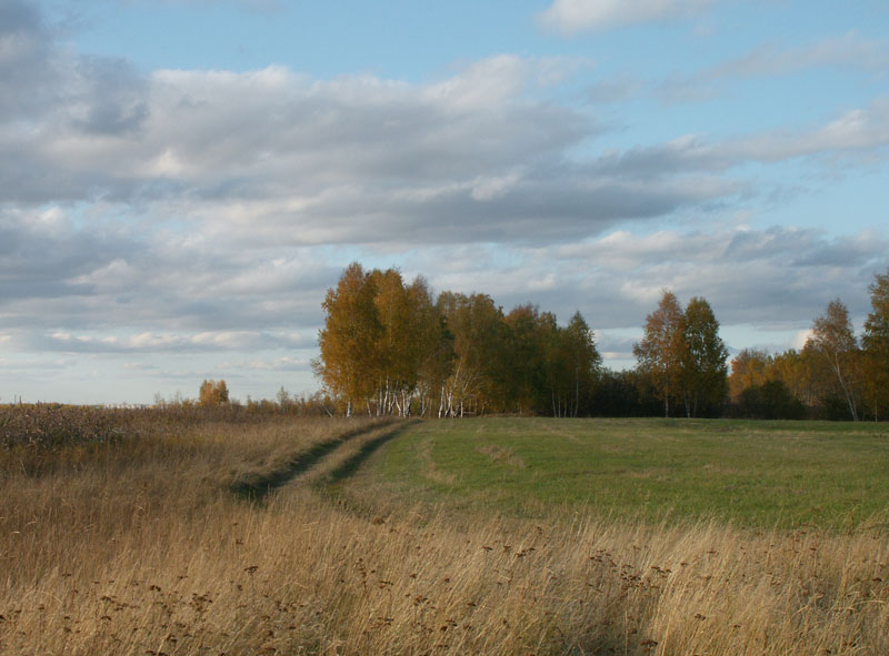 photo "September" tags: landscape, autumn