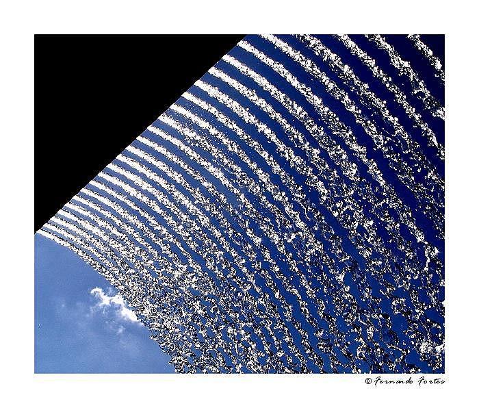photo "Life Elements (II)" tags: abstract, 