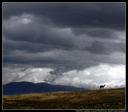 фото "Ecuador" метки: путешествия, пейзаж, Южная Америка, горы