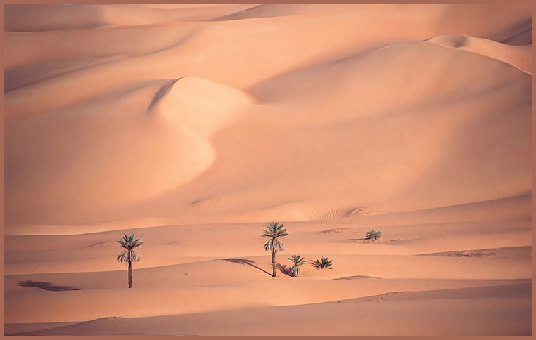 фото "Sand" метки: пейзаж, 