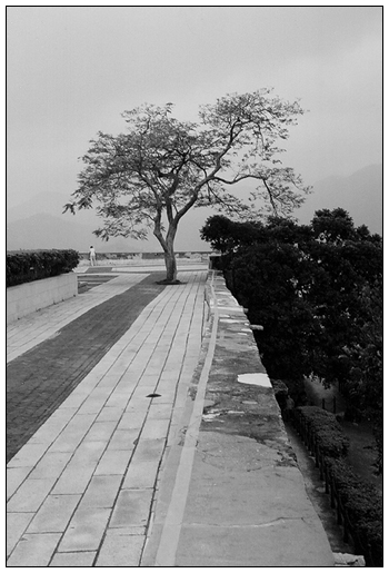 фото "~p e a c e f u l l~" метки: пейзаж, горы