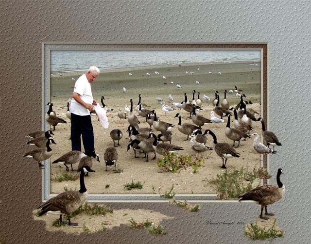 photo "Feeding Time" tags: nature, wild animals