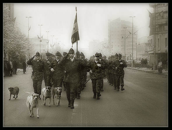 фото "Parade" метки: юмор, репортаж, 