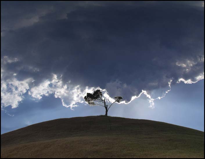 photo "Befor the sturm" tags: nature, 