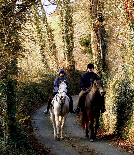 photo "Autumn Ride" tags: nature, misc., pets/farm animals