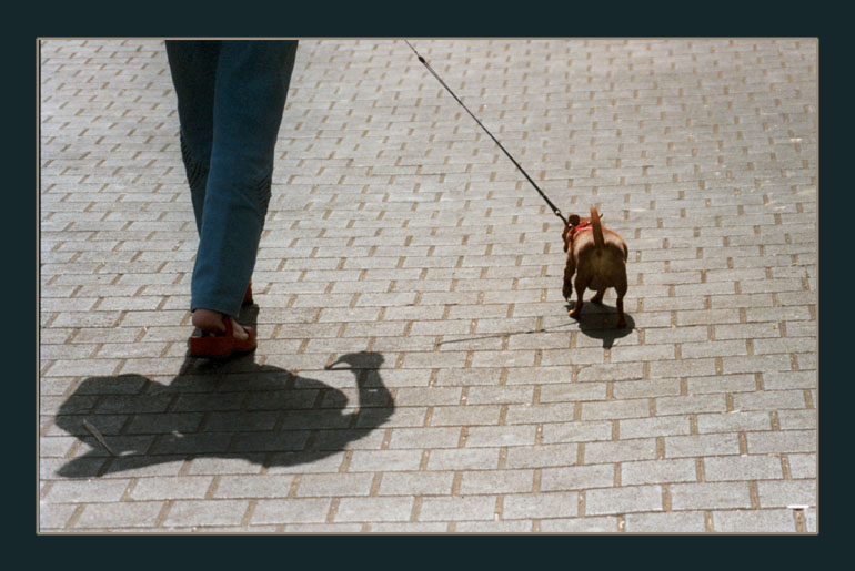 photo "Lady with a dog." tags: genre, reporting, 