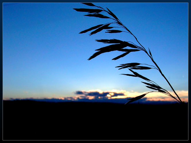 фото "Prairie Peace" метки: пейзаж, ночь
