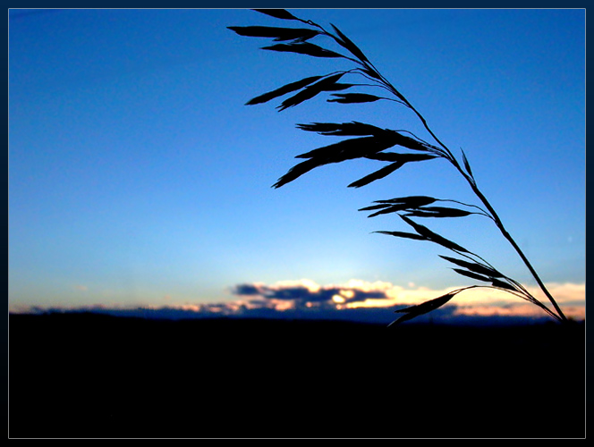 photo "Prairie Peace" tags: landscape, night