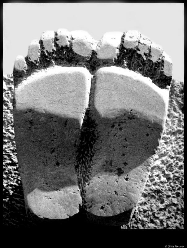 photo "Foots" tags: misc., 