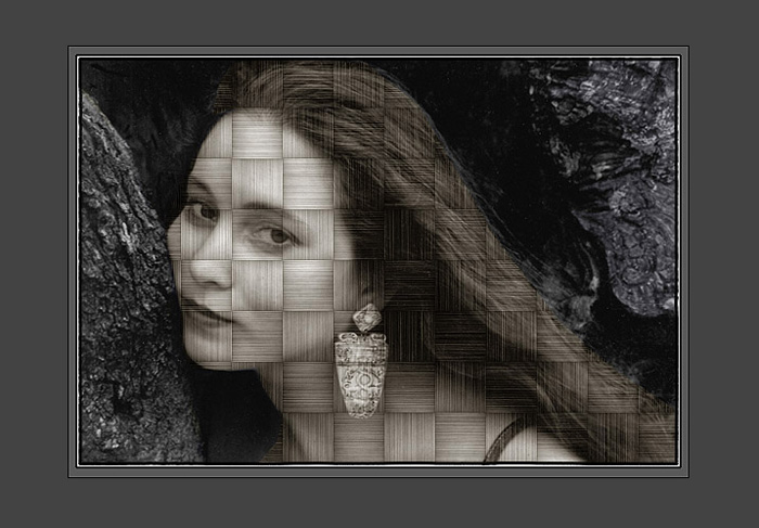 photo "Without the name" tags: misc., 